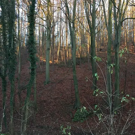 Greenwoods * Valkenburg aan de Geul