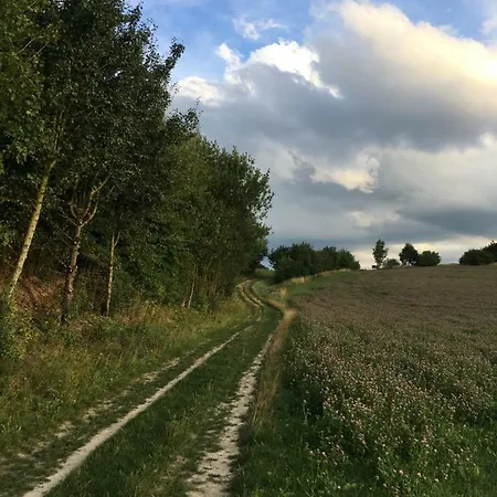 Apartment Greenwoods Valkenburg aan de Geul