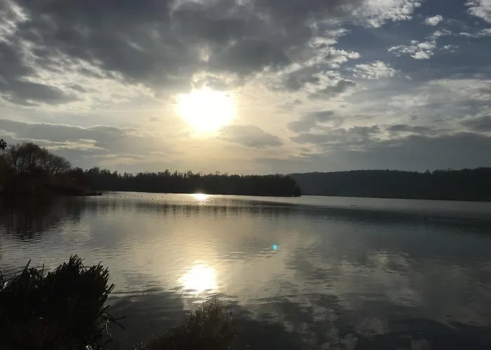 Greenwoods * 法尔肯堡