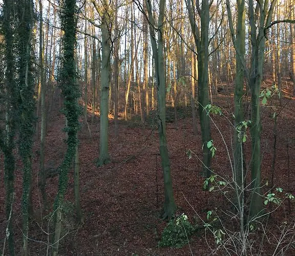 Greenwoods * Valkenburg aan de Geul